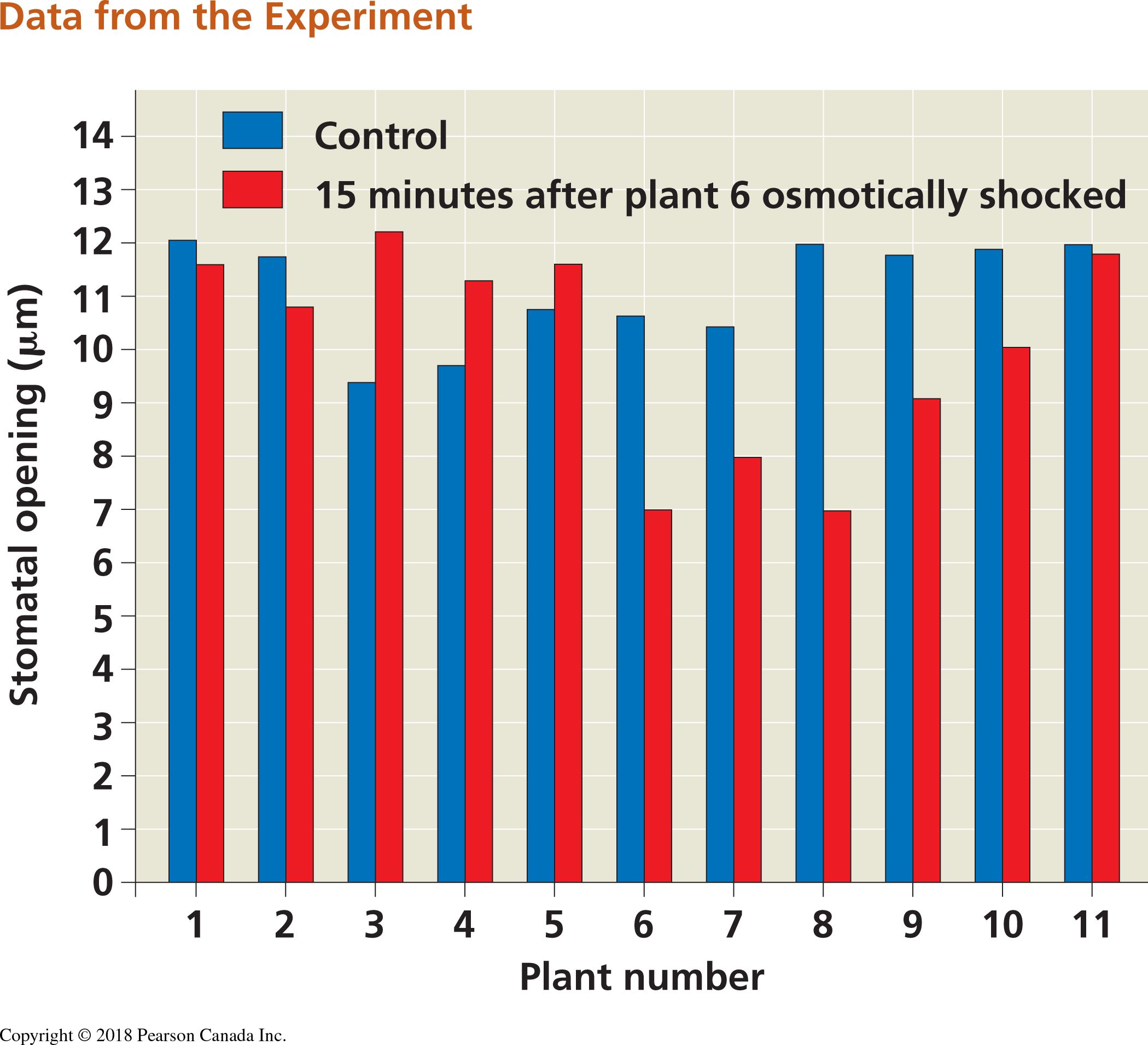 Bar plot from Falik et al. study on plant stress and plant communication. This figure is found in your textbook on pg. 918 (pg. 910 in Campbell 2nd Canadian Edition)