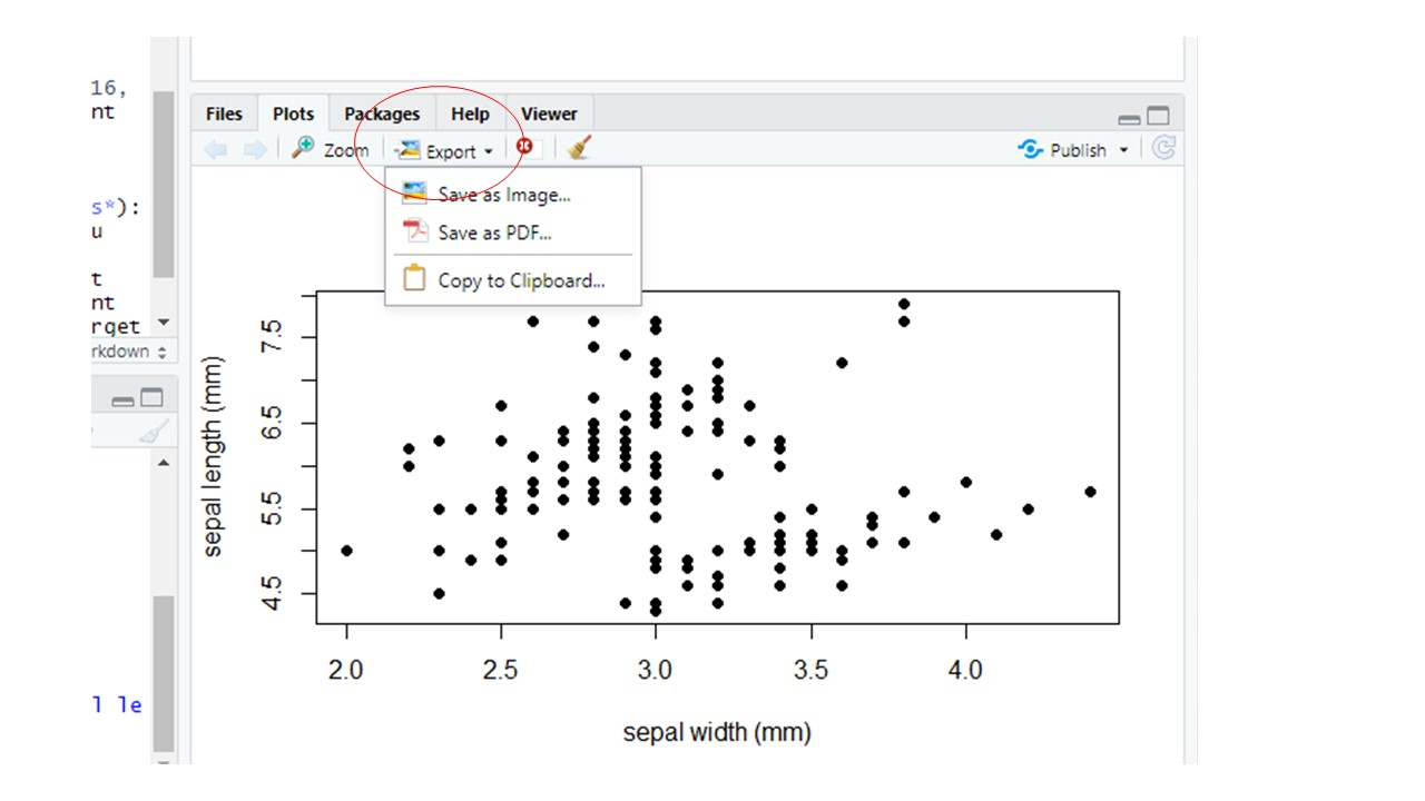 Export button in the Plots Window