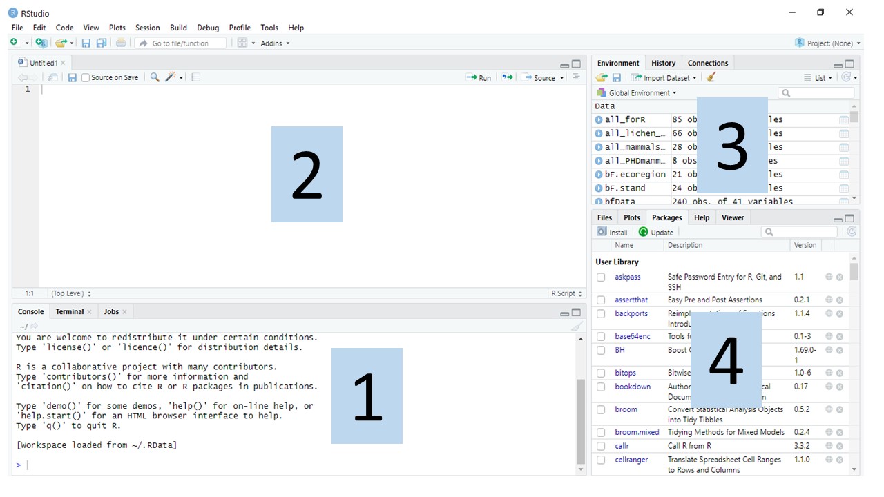 Panes in RStudio. 1. Console pane, where code is executed by R. 2. Source pane, to work with R scripts (code won't be evaluated until you send it to the console). 3. Environment/History pane, to view objects in the working space and command history, respectively. 4. Files/Plots/Packages/Help pane, to see the file directories, plots, installed packages and access R help, respectively.
